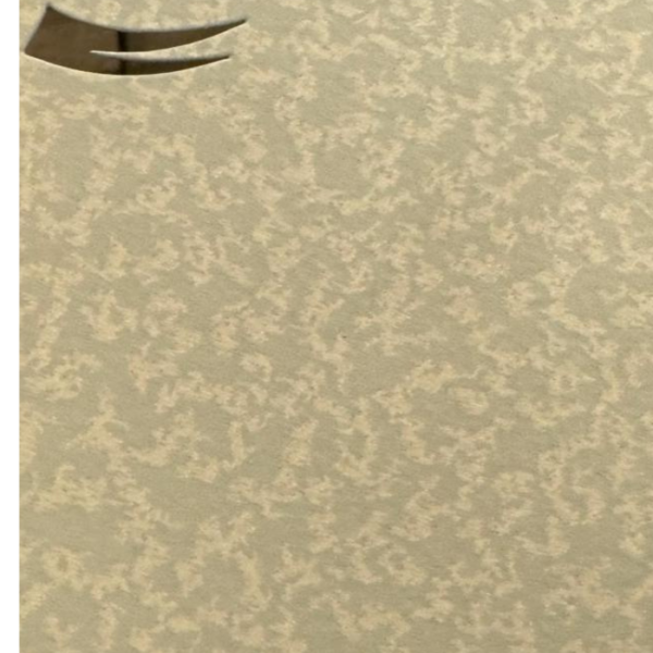 Sun Coat EP Conifer Beige