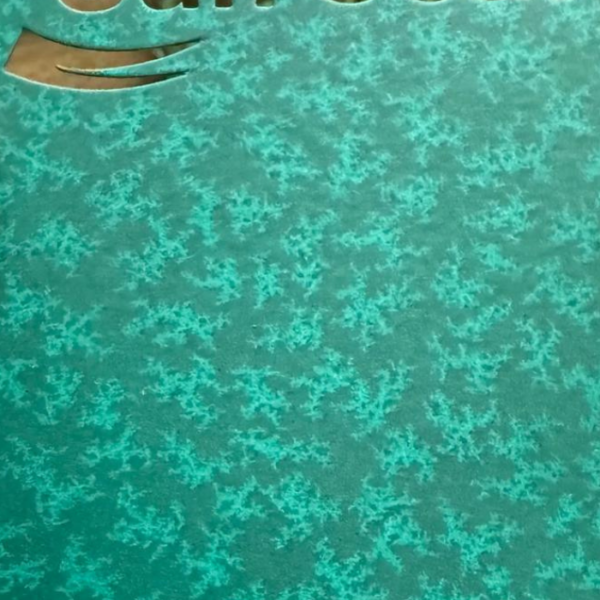 Sun Coat Conifer EP Water Blue