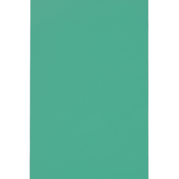 JOTUN / PP GREEN GLOSSY / GUARD STYLE E88H PANTONE 3248C SMO (1251980)
