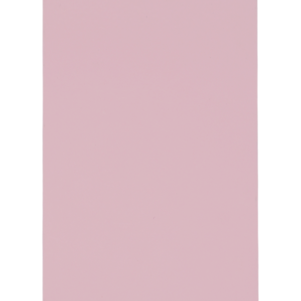 JOTUN / EP PINK GLOSSY / GUARD ENDURE D88 RASKOG PINK 80 SMO (1027804)