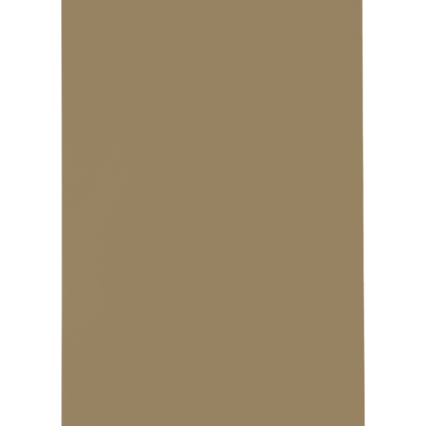 JOTUN / PP BEIGE RAL 1019 SG / GUARD STYLE E04T RAL 1019 (SH) SMO (1235881)