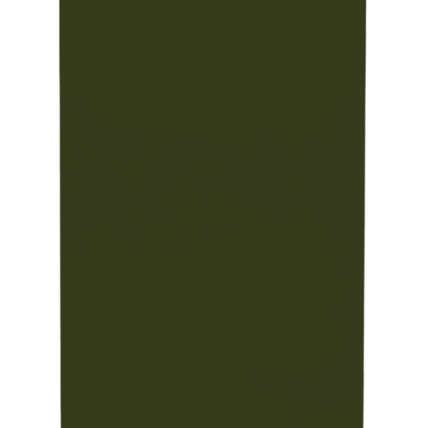 JOTUN / FACADE GREEN RAL 6003 MATT / FACADE1403 RAL 6003 SMO (1233901)